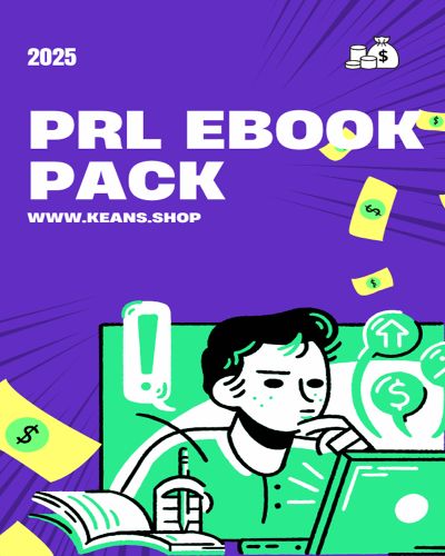 300 PLR eBooks Pack